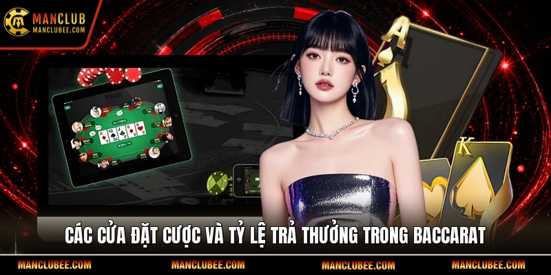 Các cửa đặt cược và tỷ lệ trả thưởng trong Baccarat