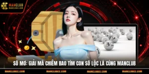 Số mơ: Giải mã chiêm bao tìm con số lộc lá cùng Manclub